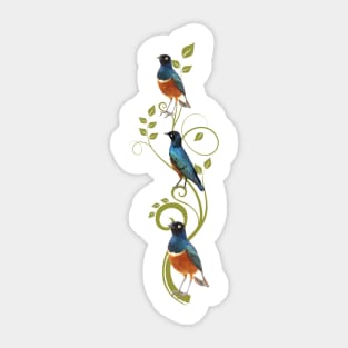 Superb Starling - Bird in Kenya / Afrika Sticker